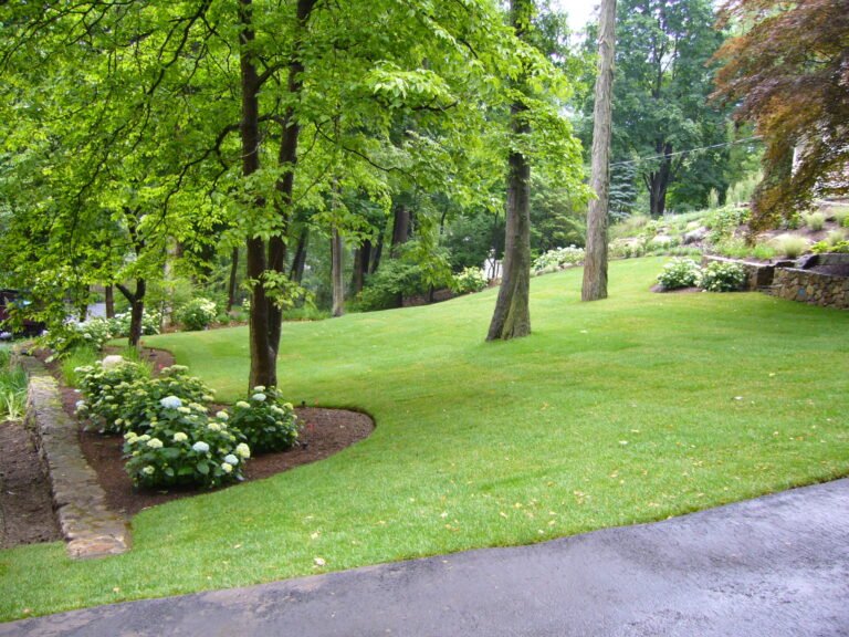 2-After-front-side-view-scaled